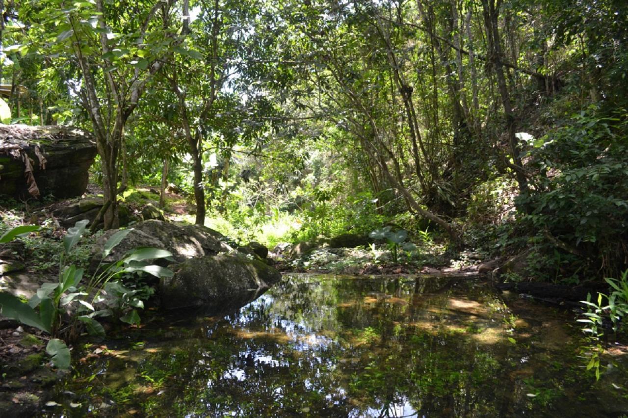 パコチ Sitio Alto Da Montanha - Voce Em Paz Com A Naturezaヴィラ エクステリア 写真